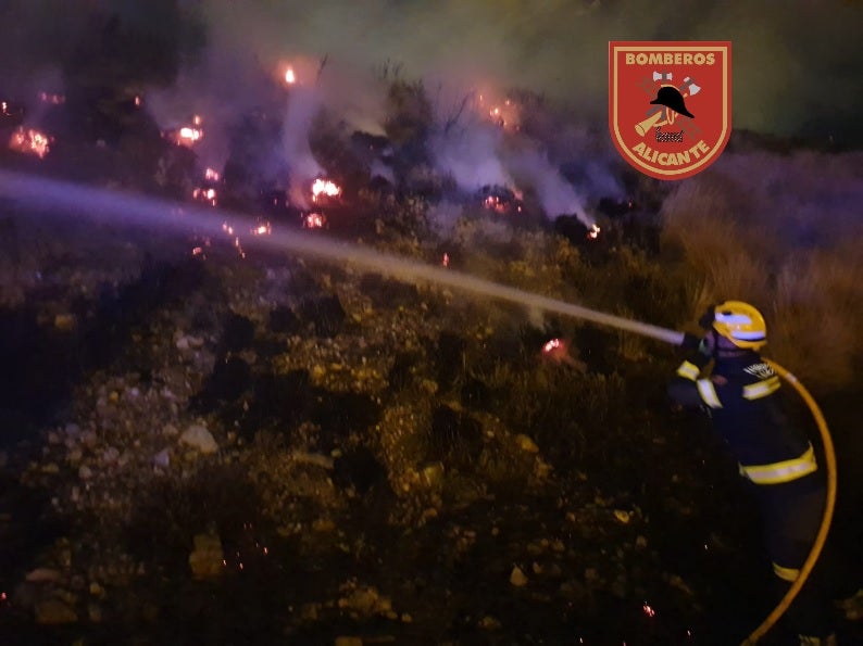 Arden quinientos metros de matorral en la avenida de Novelda junto a la circunvalación Arden quinientos metros de matorral en la avenida de Novelda junto a la circunvalación