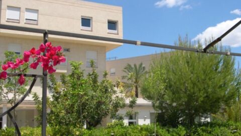 Residencia Domis Vi en Lliria