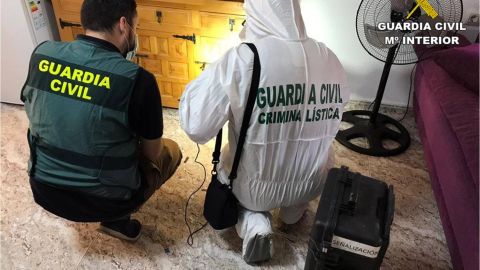 Los agentes investigan el homicidio en una vivienda de Rojales