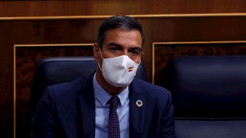 Pedro S&aacute;nchez en el Congreso