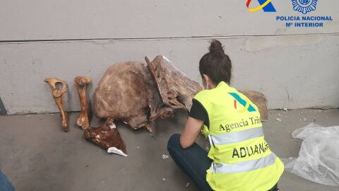 Imagen de parte del material intervenido