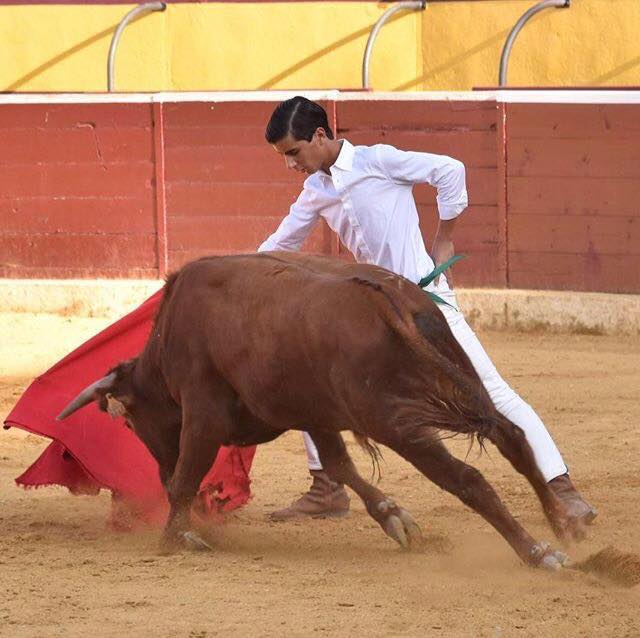 Miguel Porta Miravé: "Es una pena que no haya una Escuela Taurina en Pamplona" Miguel Porta Miravé: "Es una pena que no haya una Escuela Taurina en Pamplona"