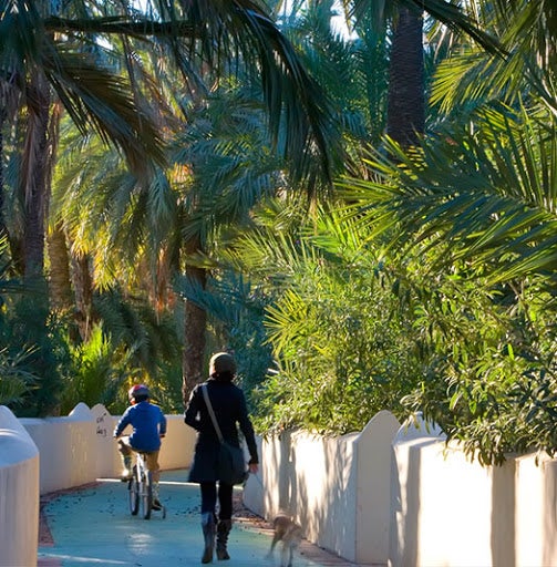 La ruta del Palmeral de Elche, en la lista de espera para recibir ayudas del Ministerio de Cultura para su conservación La ruta del Palmeral de Elche, en la lista de espera para recibir ayudas del Ministerio de Cultura para su conservación