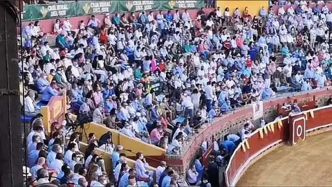 toros toros