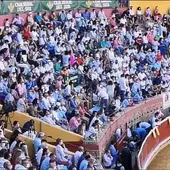 toros toros