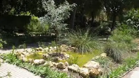 Más de Uno Córdoba Más de Uno Córdoba