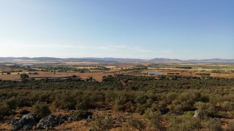 Napole&oacute;n en la Mancha