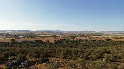 Historias y Leyendas de Ciudad Real Napoleón en la Mancha