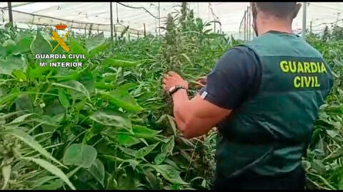 Instantes de la operaci&oacute;n