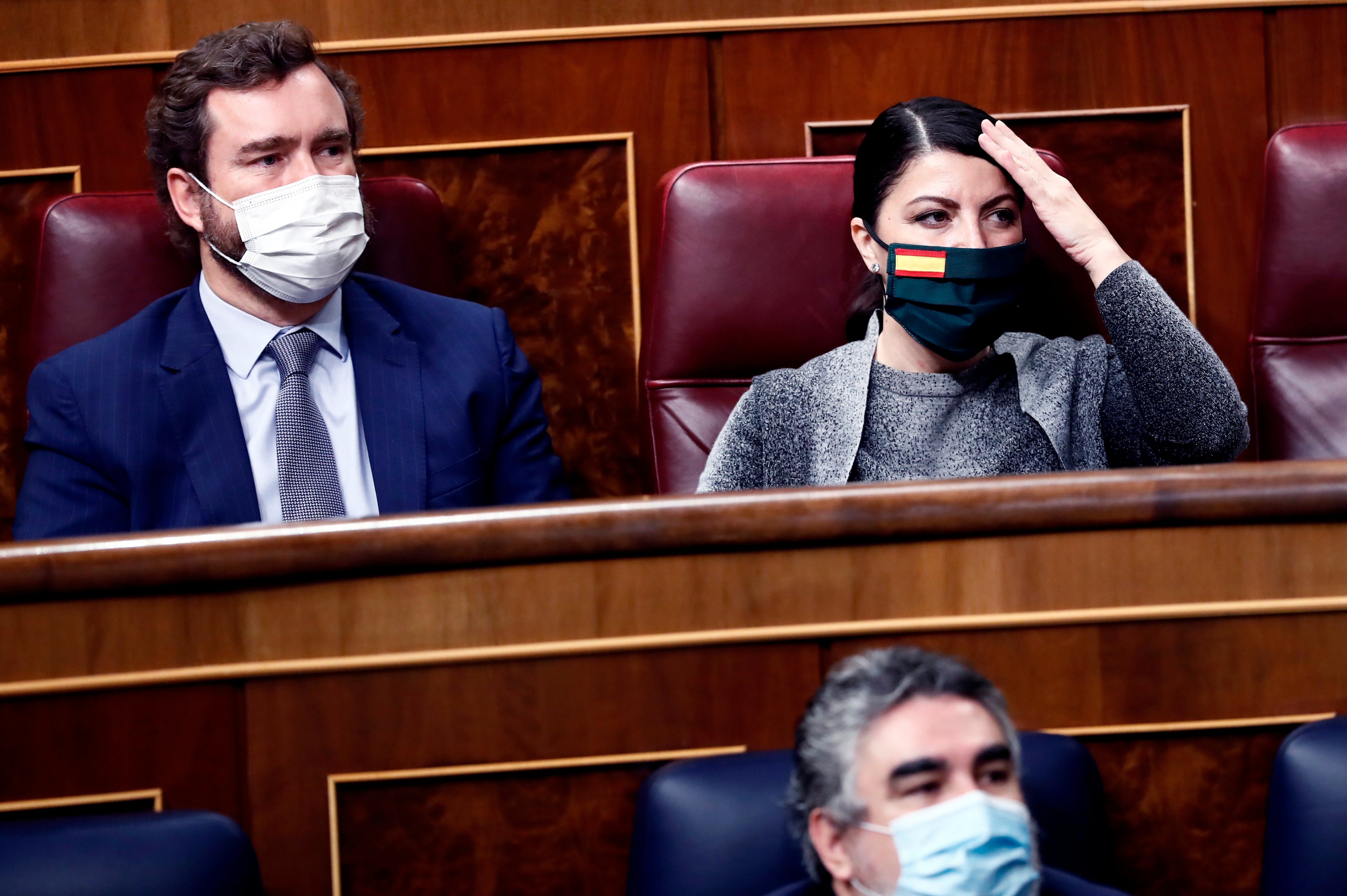 El Epílogo: "Vox, un socio inesperado o tal vez no tanto" El Epílogo: "Vox, un socio inesperado o tal vez no tanto"
