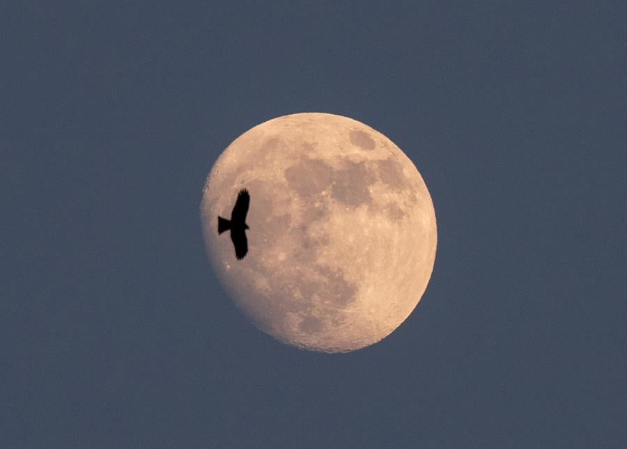 La NASA confirma que hay agua helada en la Luna La NASA confirma que hay agua helada en la Luna