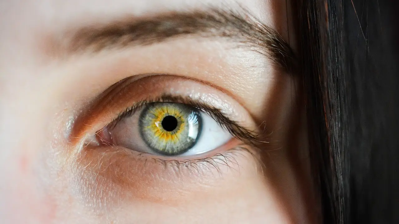 Los farmacéuticos lanzan consejos para prevenir la conjuntivitis otoñal Los farmacéuticos lanzan consejos para prevenir la conjuntivitis otoñal