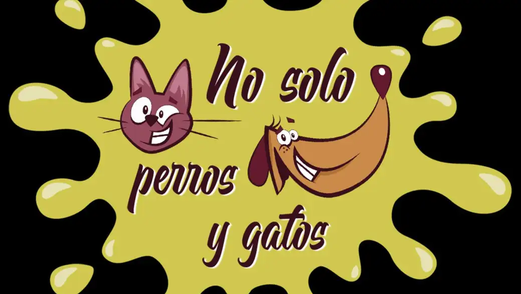 No solo perros y gatos No solo perros y gatos