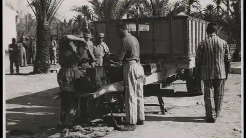 En 1937 se construyó en Albatera el llamado "Campo de trabajo de la República" En 1937 se construyó en Albatera el llamado "Campo de trabajo de la República"