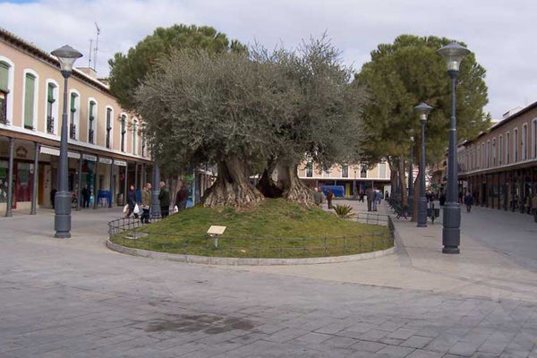 Sanidad levanta las medidas de nivel 3 en Almodóvar del Campo y Daimiel Sanidad levanta las medidas de nivel 3 en Almodóvar del Campo y Daimiel