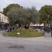 Sanidad levanta las medidas anticovid nivel 3 de Daimiel y las rebaja al nivel 2 Sanidad levanta las medidas anticovid nivel 3 de Daimiel y las rebaja al nivel 2