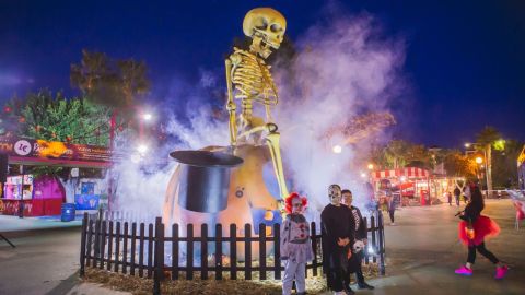 Halloween en Polapark