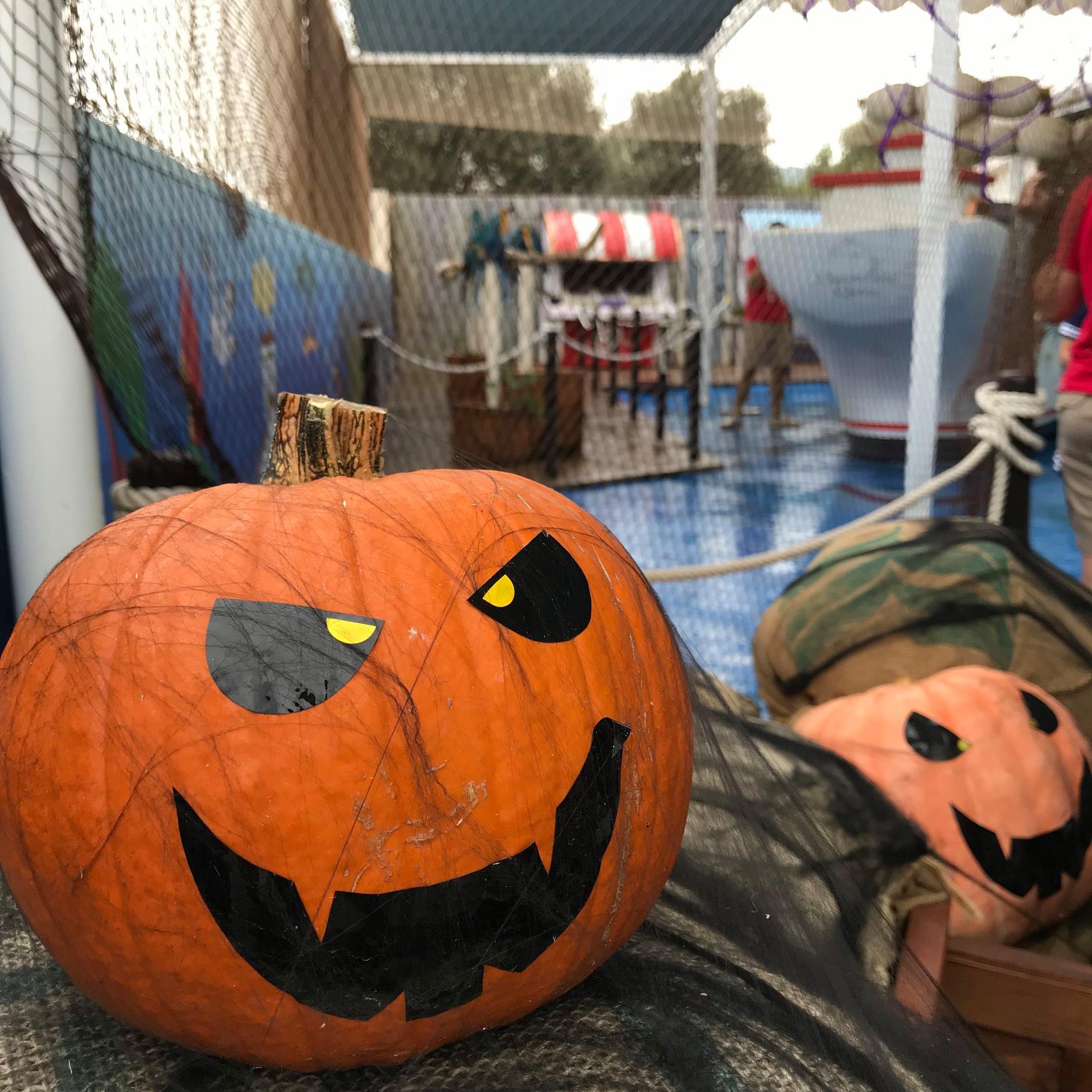 Marineland Mallorca celebra Halloween este fin de semana con aforo limitado Marineland Mallorca celebra Halloween este fin de semana con aforo limitado
