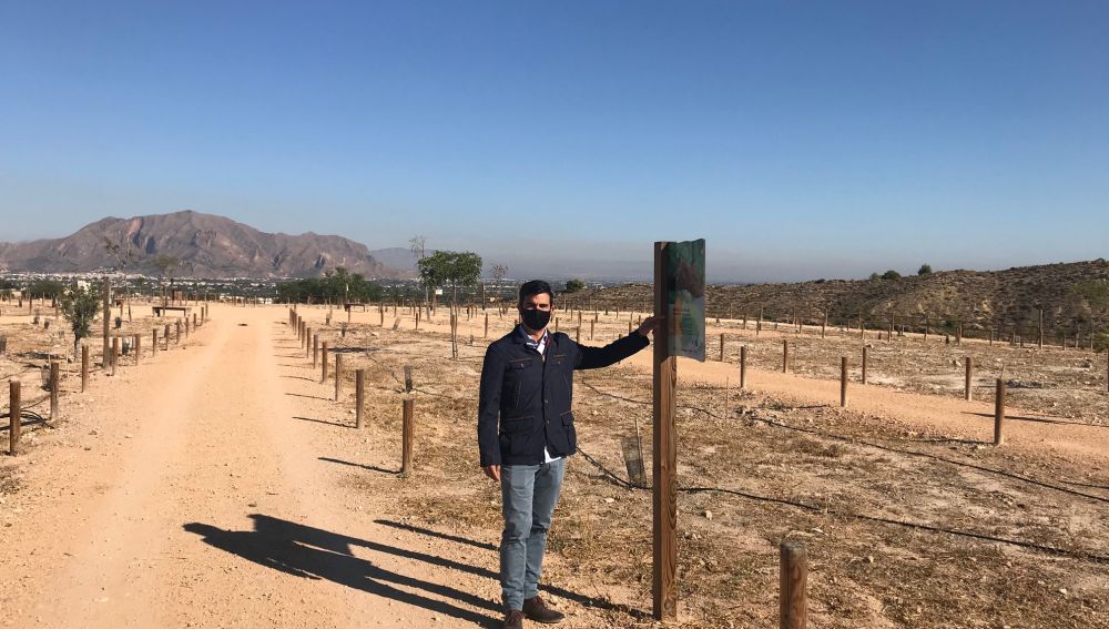 Recuperación de la antigua escombrera en Bigastro
