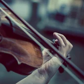 Violón Violón