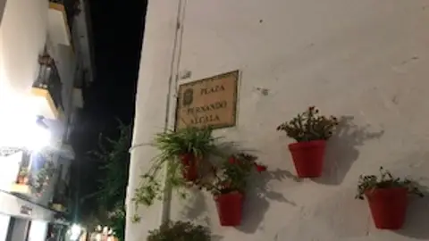 ALCALÁ MARÍN ALCALÁ MARÍN