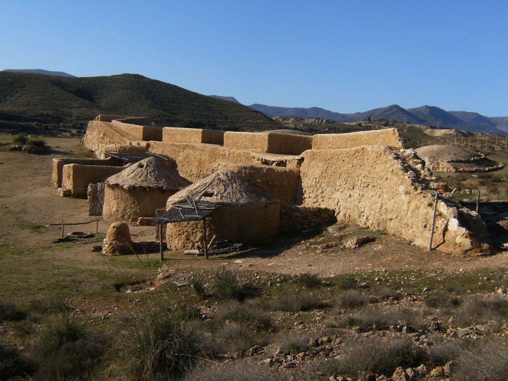 Después de años paralizadas, se reinician las excavaciones en el yacimiento arqueológico de Los Millares. Después de años paralizadas, se reinician las excavaciones en el yacimiento arqueológico de Los Millares.