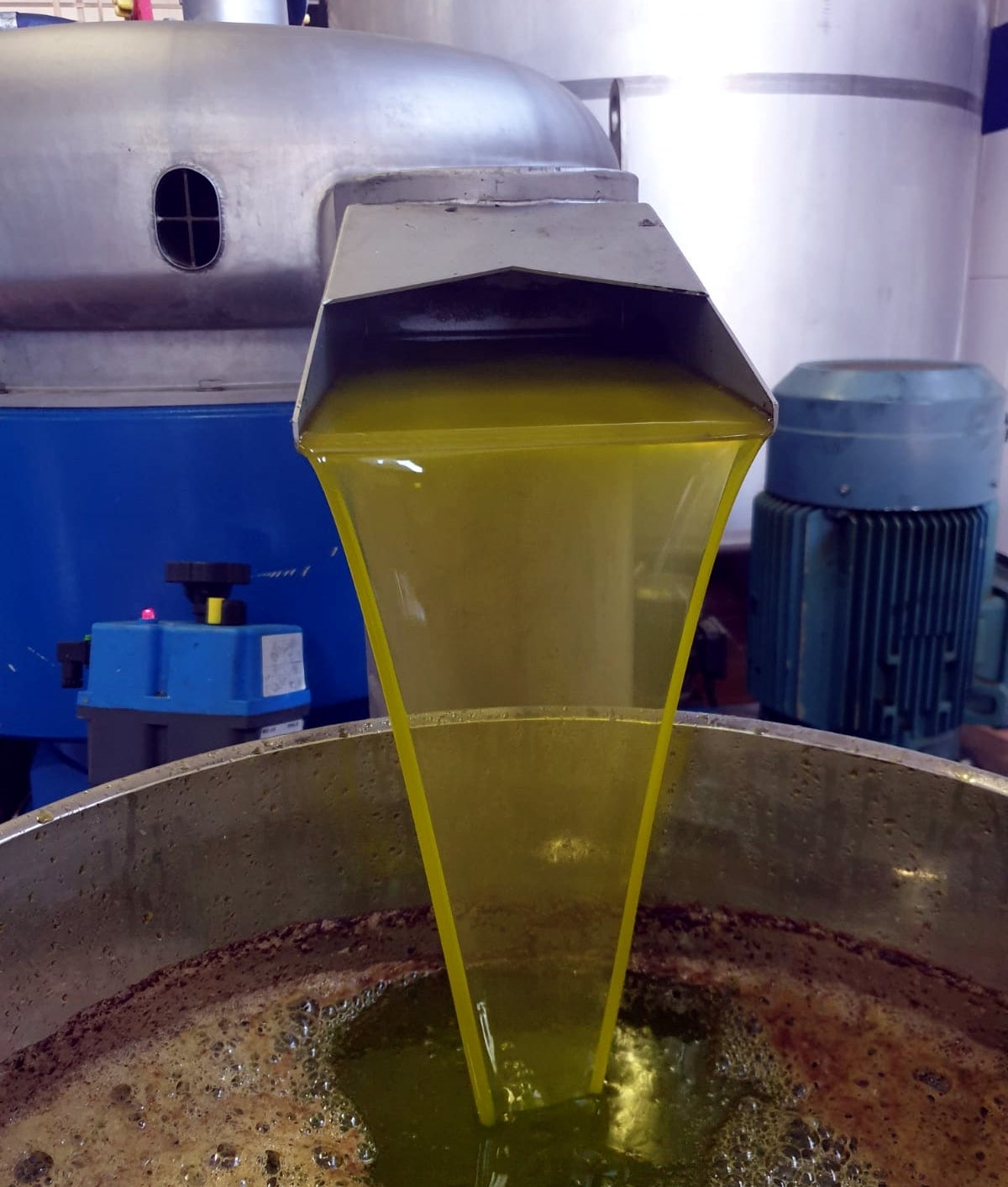 Comienza la recogida de aceituna en los pueblos de la Mancha Comienza la recogida de aceituna en los pueblos de la Mancha