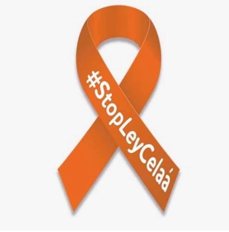 Los Colegios concertados protestarán este domingo contra la "ley Celaá" Los Colegios concertados protestarán este domingo contra la "ley Celaá"