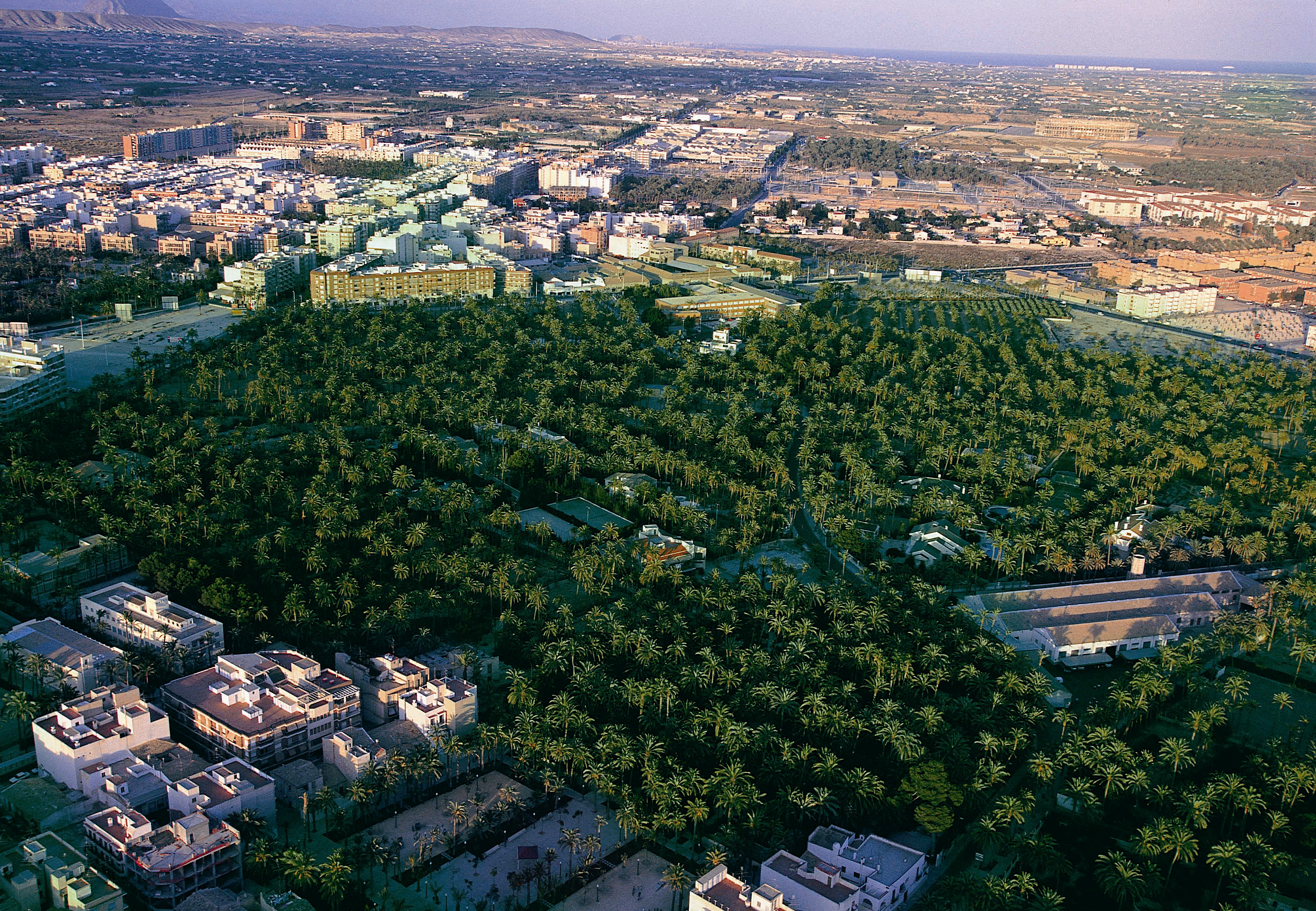 Elche es el tercer municipio de la provincia con mayor cifra de ciudadanos extranjeros censados como residentes Elche es el tercer municipio de la provincia con mayor cifra de ciudadanos extranjeros censados como residentes