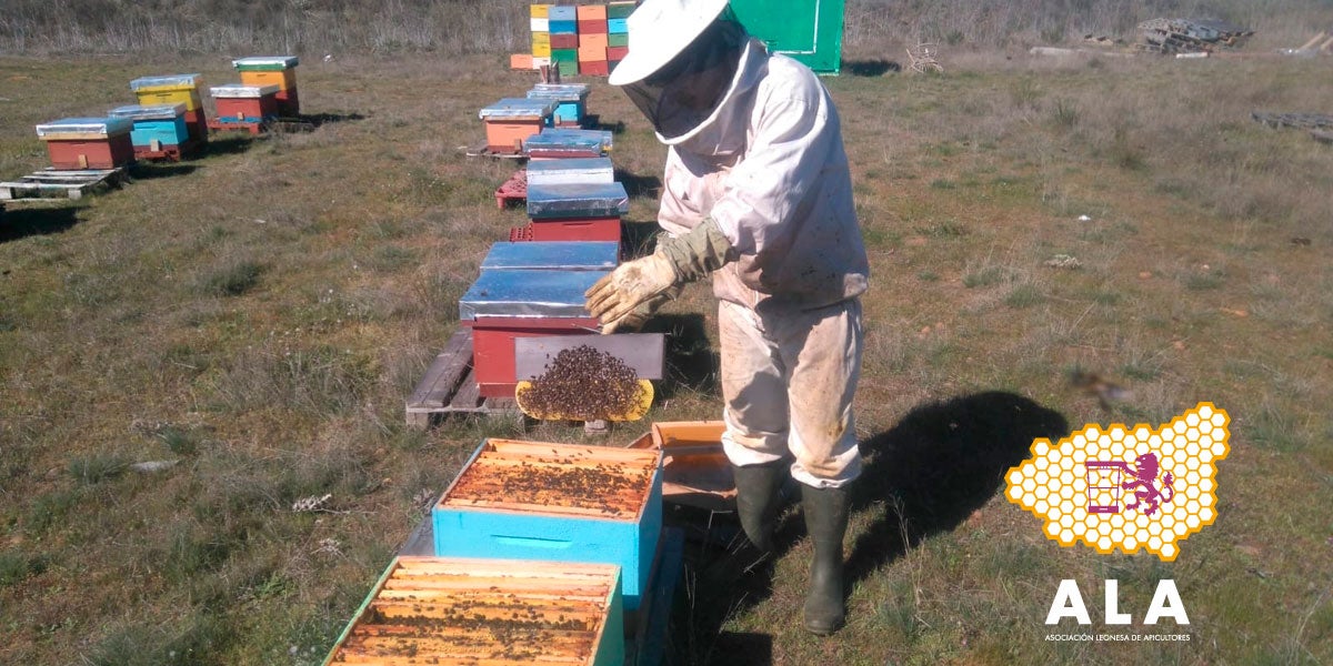 Más de Uno León 12/11/2020 Más de Uno León 12/11/2020