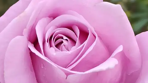 Más de Uno Córdoba Más de Uno Córdoba