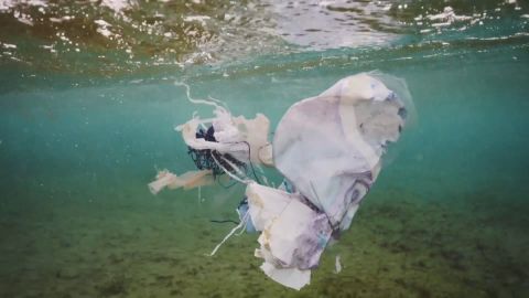 pl&aacute;sticos contaminando el mar