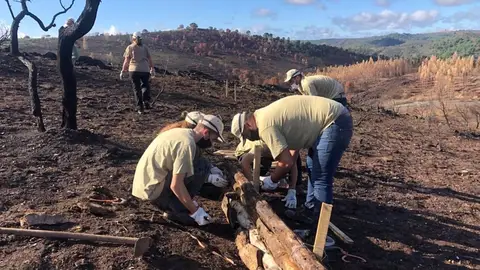 La Junta inicia los trabajos de emergencia con voluntarios por el incendio de Almonaster La Junta inicia los trabajos de emergencia con voluntarios por el incendio de Almonaster