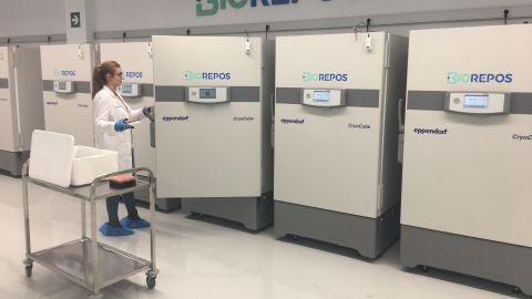 Bexen Medical en Gipuzkoa 