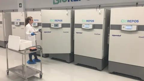 Bexen Medical en Gipuzkoa Bexen Medical en Gipuzkoa