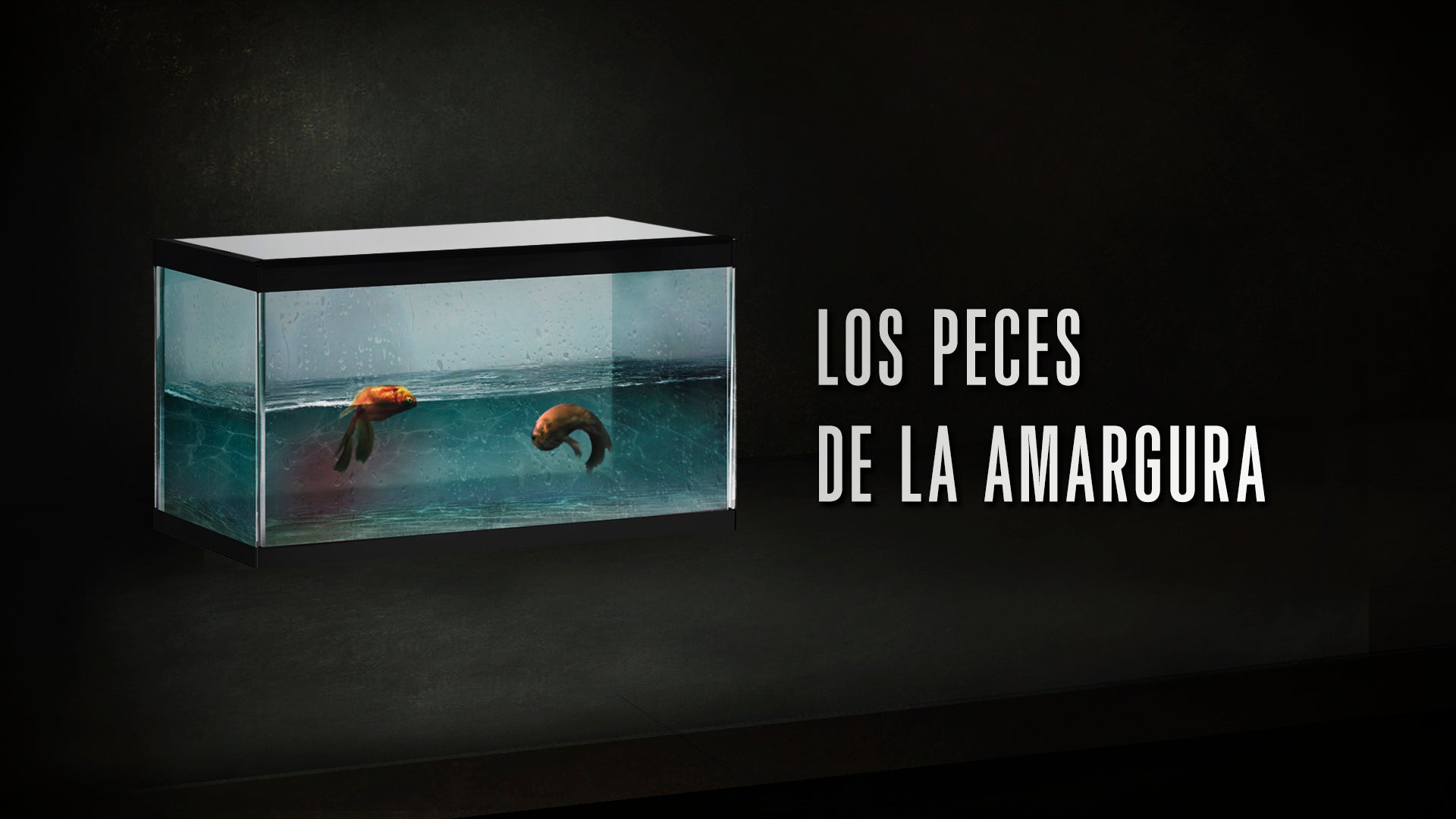 Los Peces de la Amargura 1x01 Los Peces de la Amargura 1x01
