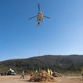 A Xunta leva a cabo traballos de rexeneración en máis de 200 hectáreas afectadas polos lumes A Xunta leva a cabo traballos de rexeneración en máis de 200 hectáreas afectadas polos lumes