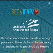 'Riego Berry' 'Riego Berry'