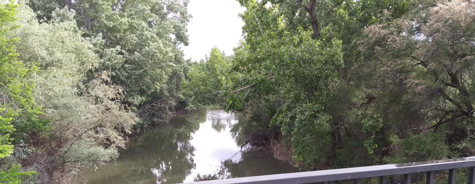 Más de uno Alcalá 08/04/2024 Más de uno Alcalá 08/04/2024