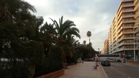 Avenida Comunitat Valenciana de Elche. Avenida Comunitat Valenciana de Elche.