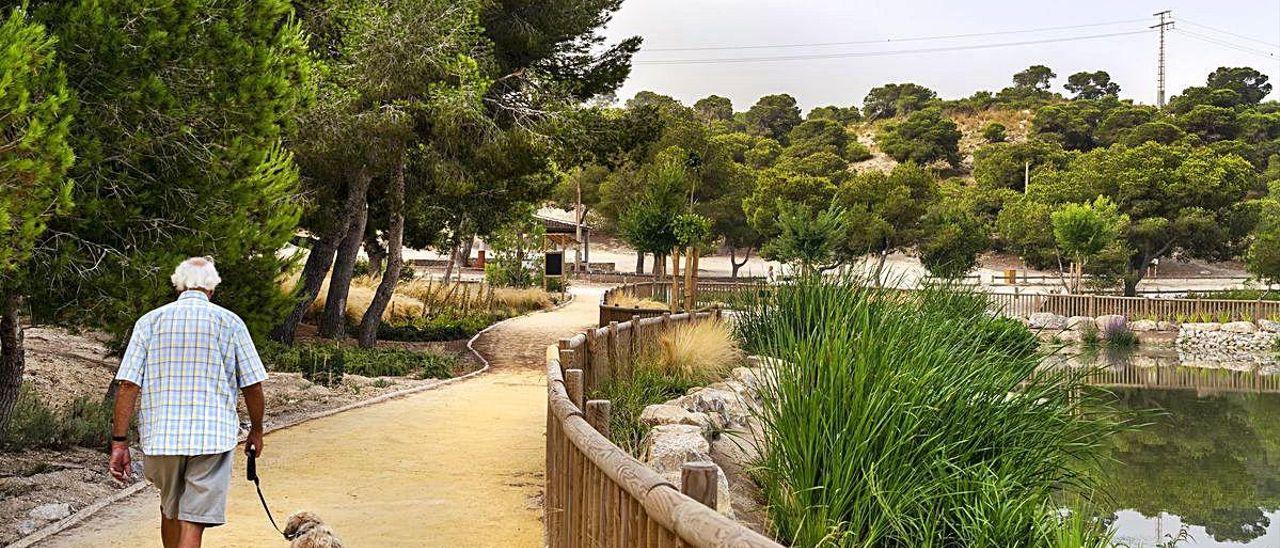 Antonio Pérez Alcalde de Rojales repasa las obras que están en marcha en el municipio y del espacio único del parque del Recorral Antonio Pérez Alcalde de Rojales repasa las obras que están en marcha en el municipio y del espacio único del parque del Recorral