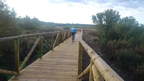 La II Fase de la Puerta Verde de Chiclana avanza con la ejecución de la pasarela de madera junto a la laguna de Jeli La II Fase de la Puerta Verde de Chiclana avanza con la ejecución de la pasarela de madera junto a la laguna de Jeli