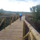 La II Fase de la Puerta Verde de Chiclana avanza con la ejecución de la pasarela de madera junto a la laguna de Jeli