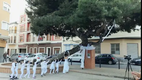 Actuación escolar ante el Pino de La Baia Actuación escolar ante el Pino de La Baia