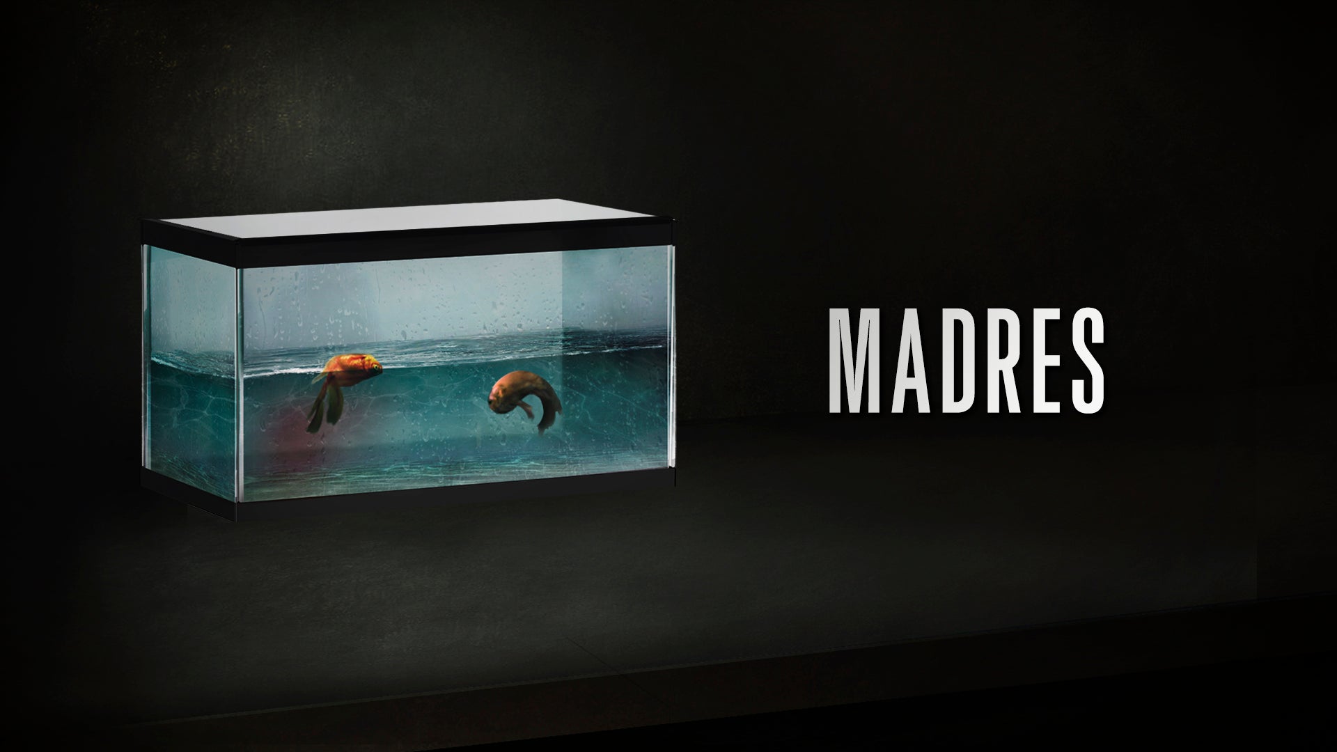 Los peces de la amargura 1x02: Madres Los peces de la amargura 1x02: Madres