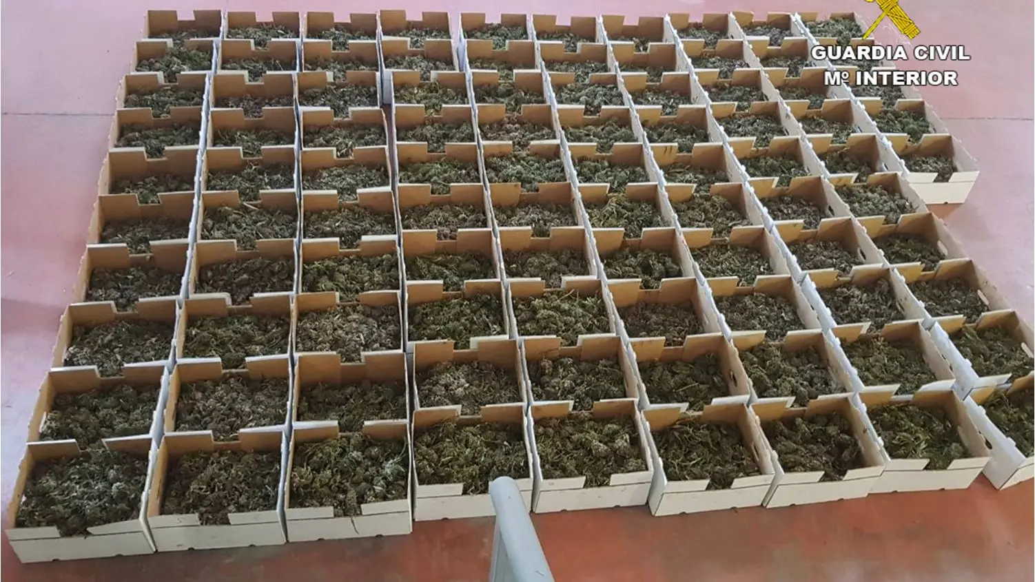 Parte de la droga intervenida Parte de la droga intervenida