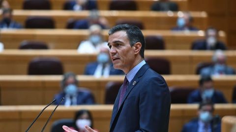 Pedro Sánchez, en una imagen de archivo en el Senado.