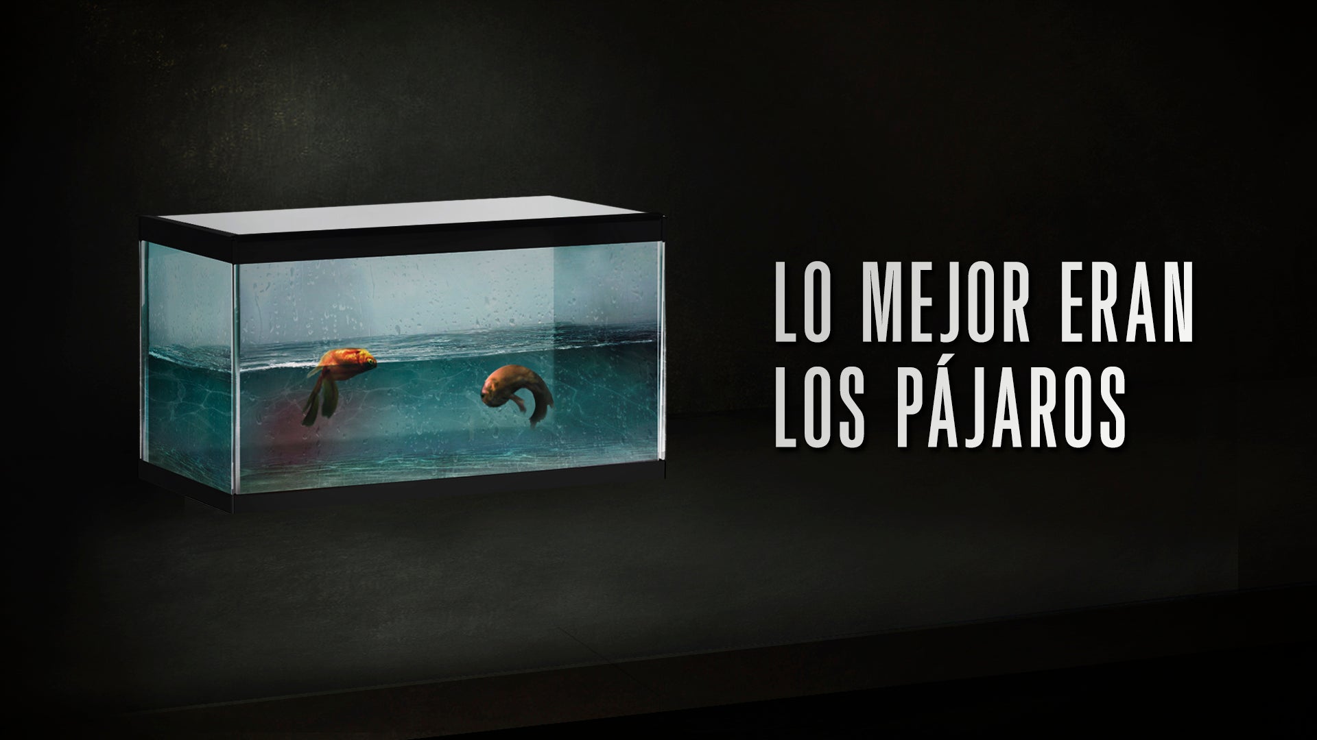 Los peces de la amargura 1x03: 'Lo mejor eran los pájaros' Los peces de la amargura 1x03: 'Lo mejor eran los pájaros'