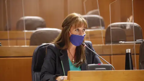 Sira Repollés, consejera de Sanidad Sira Repollés, consejera de Sanidad