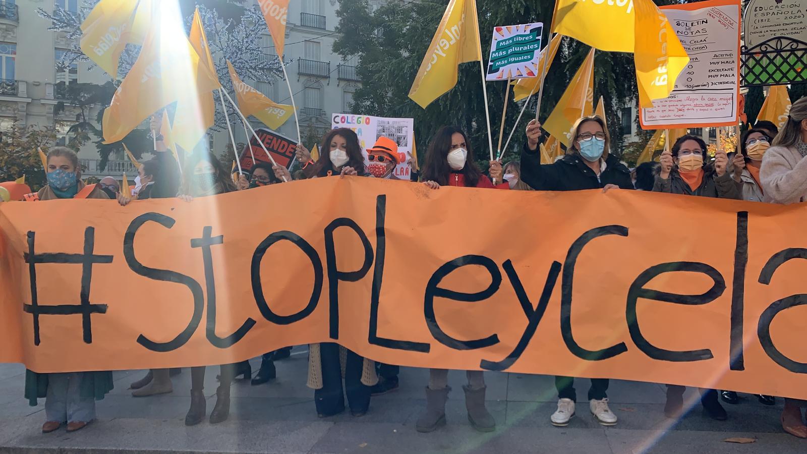 Las familias de los alumnos con discapacidad muestran su preocupación por la LOMLOE Las familias de los alumnos con discapacidad muestran su preocupación por la LOMLOE